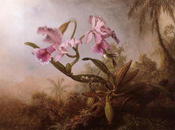 Orchids and Hummingbird III